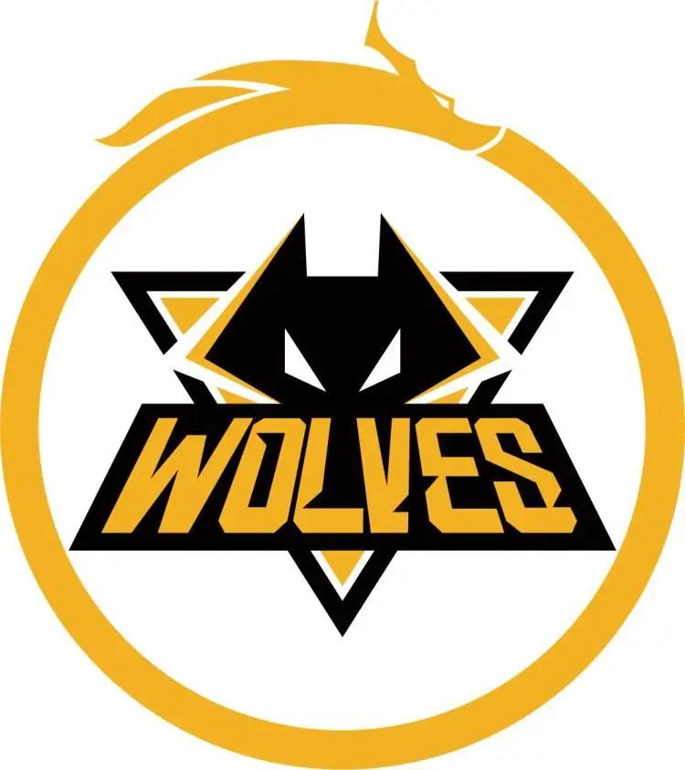 CSGO G2选手m0NESY比赛中卡bug又被喷